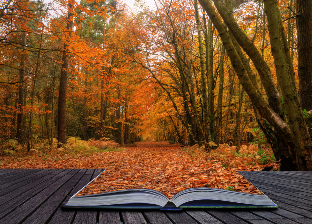 leaves coming out of a book